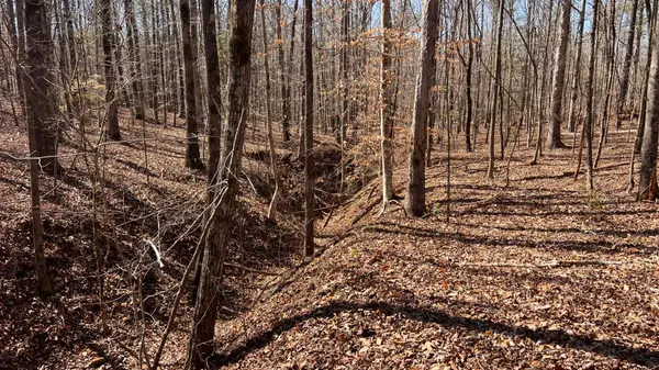 2270 N McDonough RD, Griffin, GA 30223