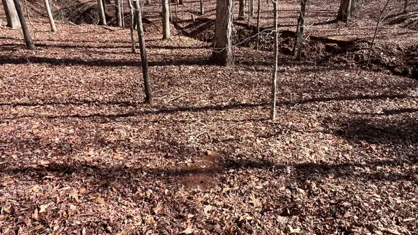 2270 N McDonough RD, Griffin, GA 30223