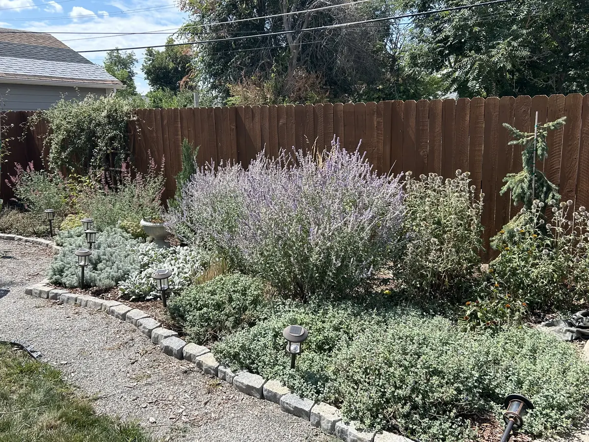 923 Geneva St, Aurora, CO 80010-3942