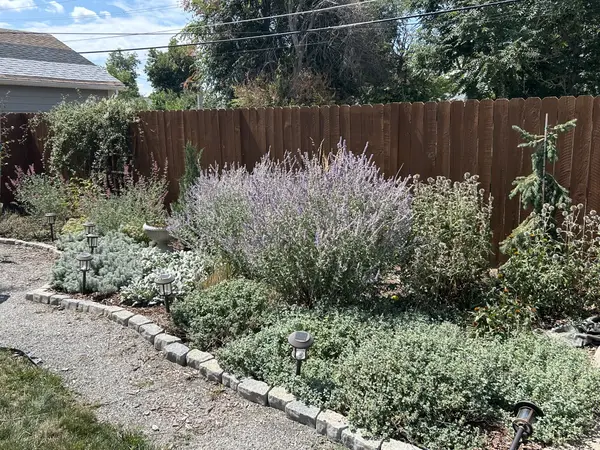 923 Geneva St, Aurora, CO 80010-3942