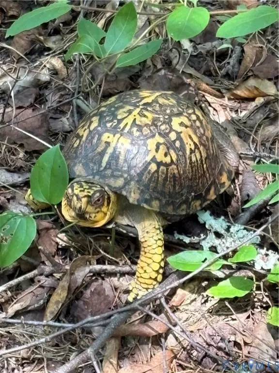 0 cumberland RD, Cumberland, VA 23901