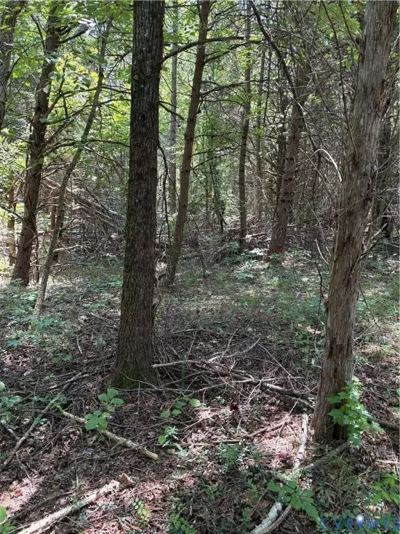 0 cumberland RD, Cumberland, VA 23901