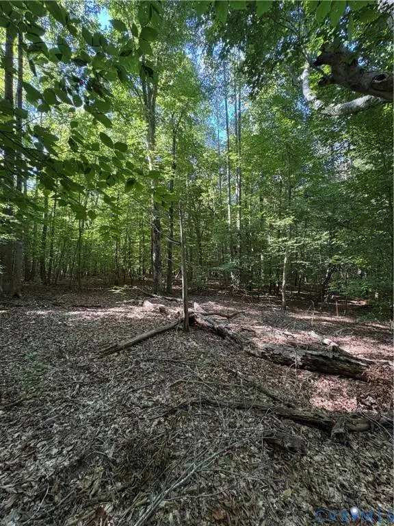 01 doswell town RD, Meherrin, VA 23954