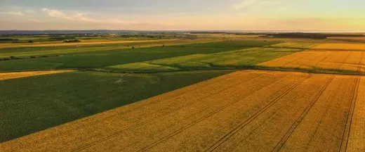 canola-field-aerial_iStock-868708146-720x300
