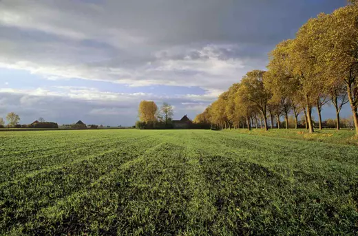 getty-large-farm-landscape-56c0a6aa5f9b5829f867287c