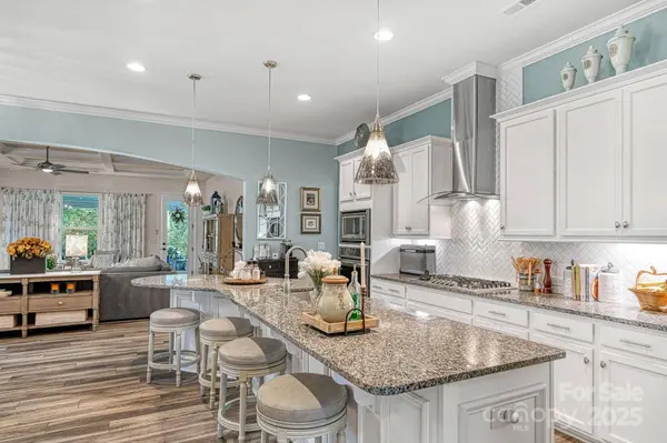 10026 St Kitts Landing LN, Charlotte, NC 28278