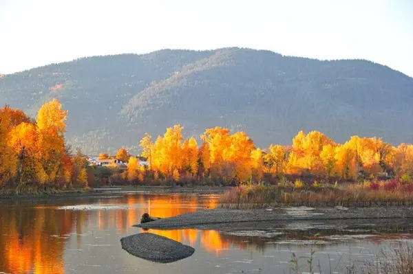 Cultivating Luxury: The Architectural Evolution of North Idaho’s Premier Waterfront Enclaves,Lauren Adair
