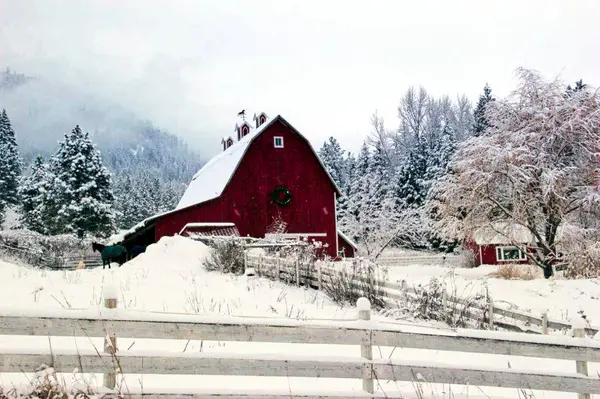 Winter in North Idaho: What Home Buyers Should Know,Lauren Adair