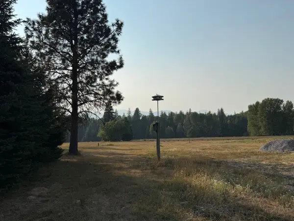 634 Forest Siding Rd, Sandpoint, ID 83864-6501