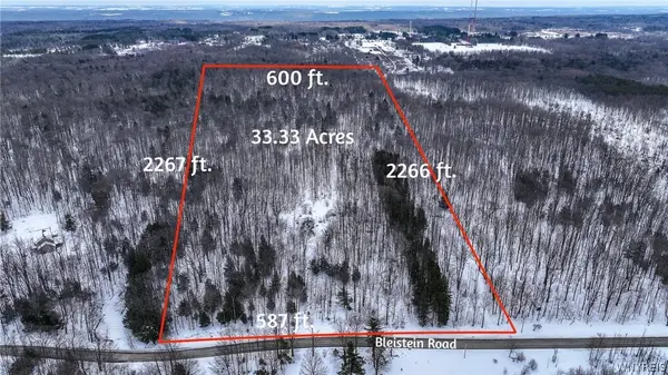 Bleistein RD, Colden, NY 14033