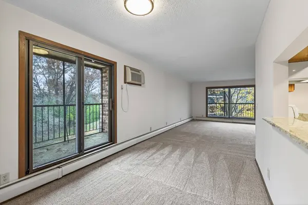 10441 Greenbrier RD #222, Hopkins, MN 55305