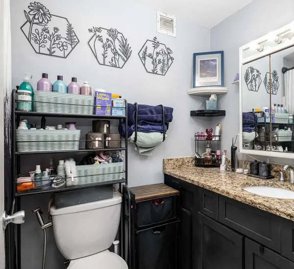 3001 S Michigan AVE #1006, Chicago, IL 60616