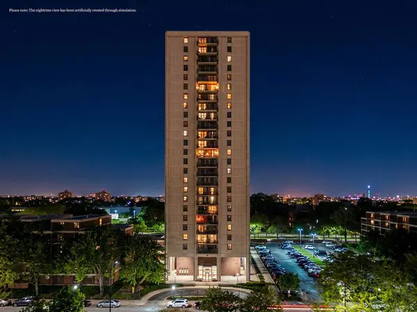 3001 S Michigan AVE #1006, Chicago, IL 60616