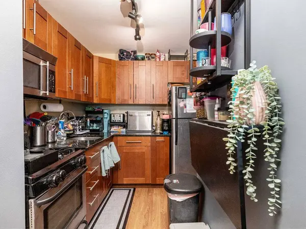 3001 S Michigan AVE #1006, Chicago, IL 60616