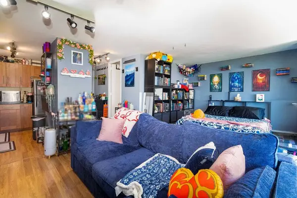 3001 S Michigan AVE #1006, Chicago, IL 60616
