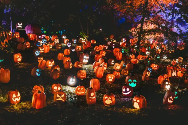 October 2026 Events in Estes Park: Fall Festivals, Halloween Fun & More