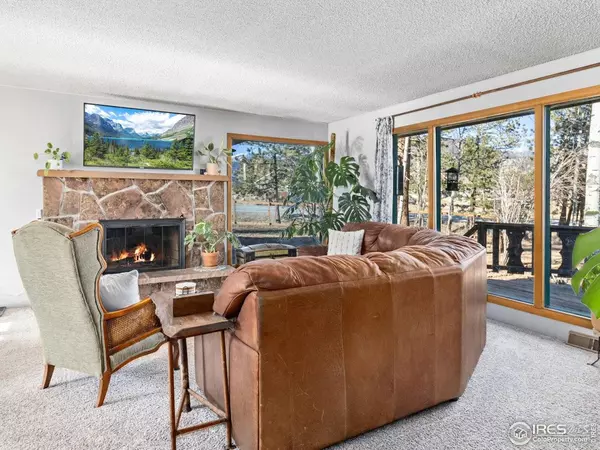 1480 Marys Lake, Estes Park, CO 80517