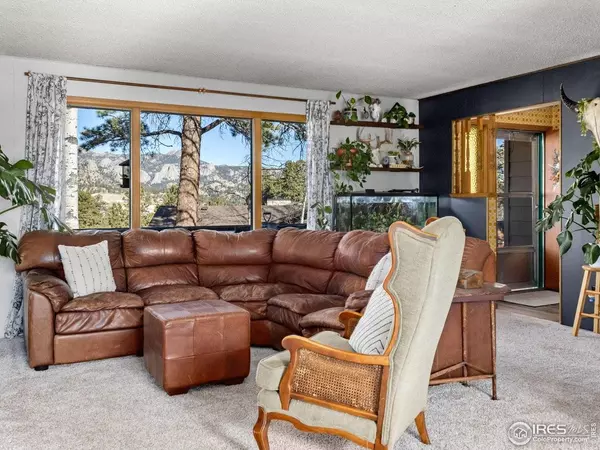 1480 Marys Lake, Estes Park, CO 80517
