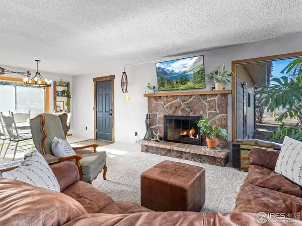 1480 Marys Lake, Estes Park, CO 80517