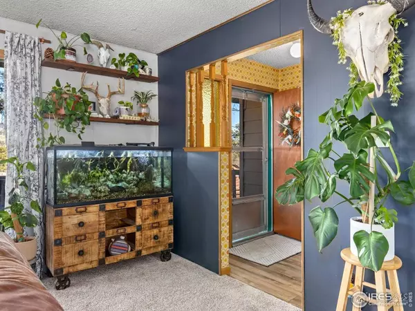 1480 Marys Lake, Estes Park, CO 80517