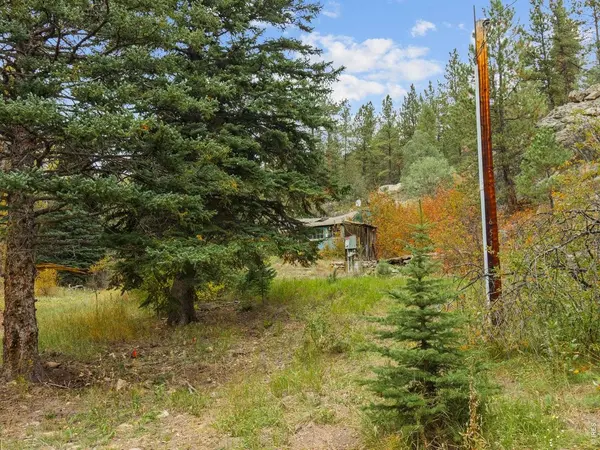 653 Fox Creek, Glen Haven, CO 80532