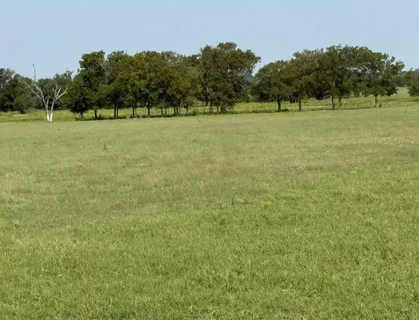 Lot 3 County Road 236, Terrell, TX 75160