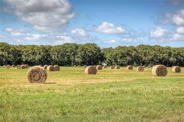 3812 County Road 120, Wills Point, TX 75169