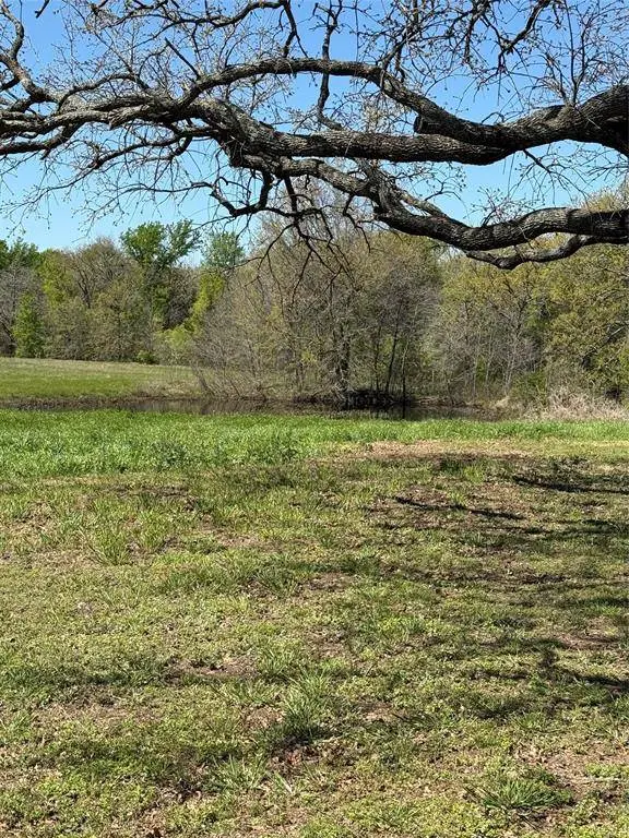 600 Vz County Road 3528, Wills Point, TX 75169