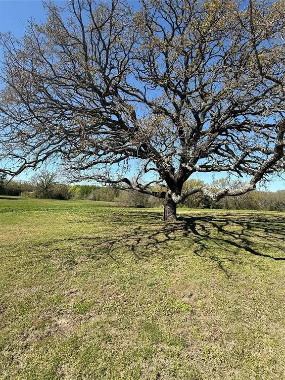 600 Vz County Road 3528, Wills Point, TX 75169