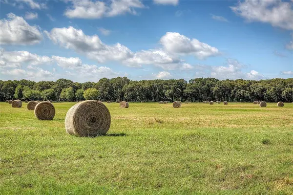 Lot 1 County Road 120, Wills Point, TX 75169