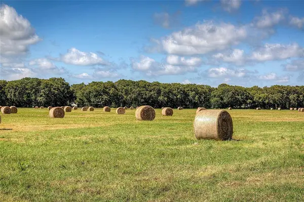 Lot 1 County Road 120, Wills Point, TX 75169