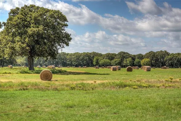 Lot 2 County Road 120, Wills Point, TX 75169