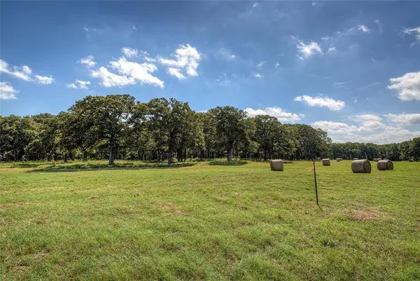 Lot 2 County Road 120, Wills Point, TX 75169