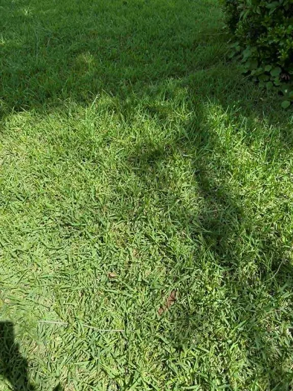 2671 Moffatt Avenue, Dallas, TX 75216