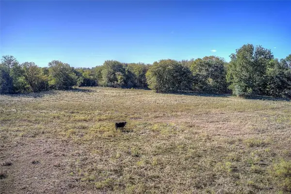 Lot 1 County Road 308, Terrell, TX 75161