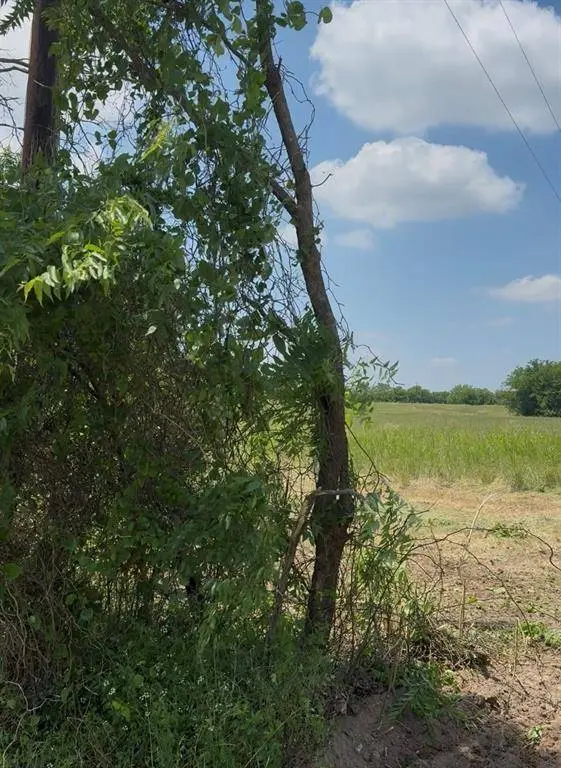 Lot 1 County Road 308