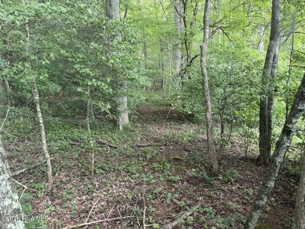 Tbd Rough Gravel RD, Murphy, NC 28906