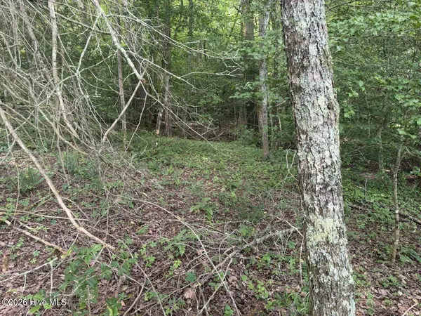 Tbd Rough Gravel RD, Murphy, NC 28906