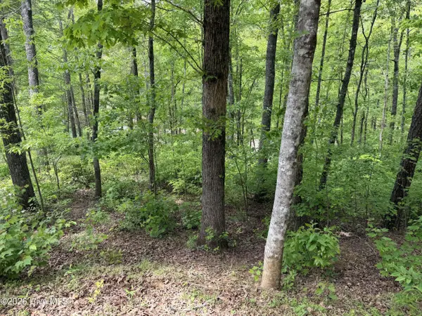 Multi Lots Black Fox DR, Murphy, NC 28906
