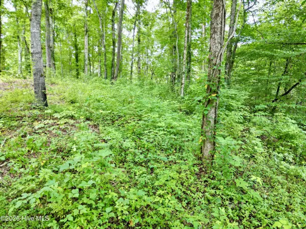 7 Heaton RD, Marble, NC 28905