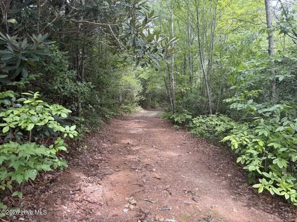 760 Cliff Top TRL, Andrews, NC 28901