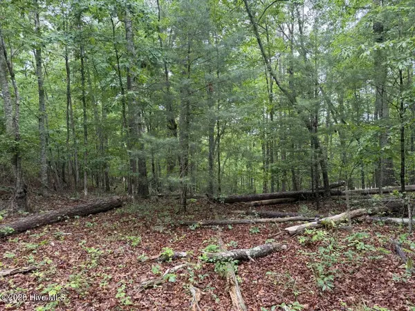00 Snow Hill Ridge RD, Murphy, NC 28906