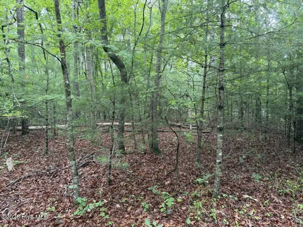 00 Snow Hill Ridge RD, Murphy, NC 28906
