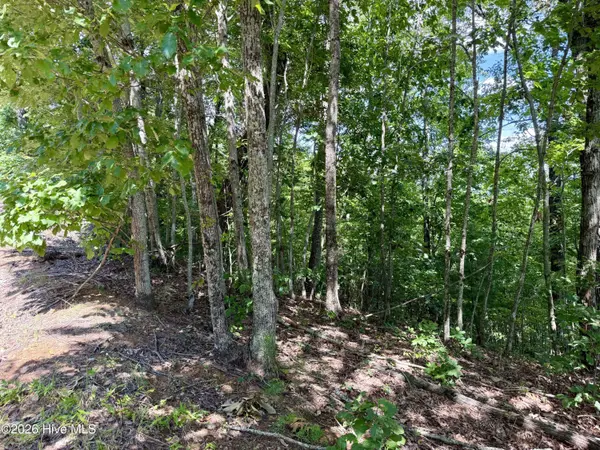 9 Sahkanaga DR, Murphy, NC 28906