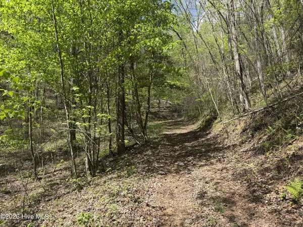 17.96 Lower Vengeance Creek RD, Marble, NC 28905