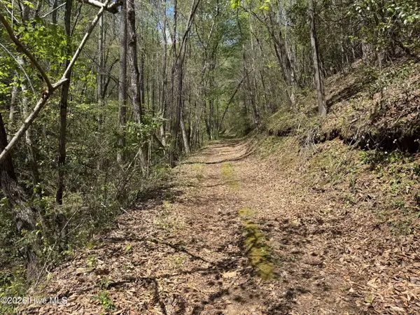 17.96 Lower Vengeance Creek RD, Marble, NC 28905