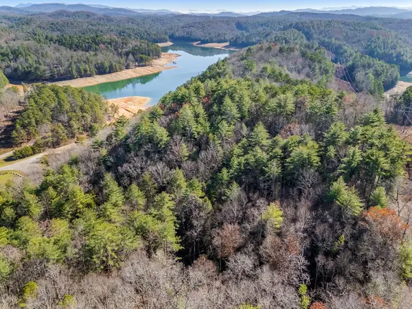 Living the Lake Life: Comparing the Top Lakes in Western NC & North Georgia