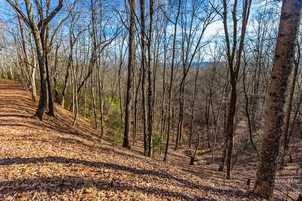 TBD W Hills Drive, Murphy, NC 28906