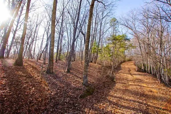 TBD W Hills Drive, Murphy, NC 28906