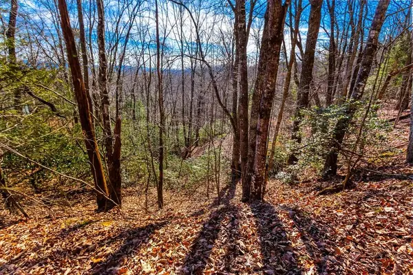 TBD W Hills Drive, Murphy, NC 28906